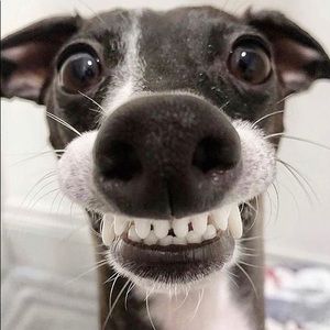 Hi there! Shopping Therapy 💕